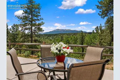 5542 North Road, Divide, CO 80814 - Photo 21