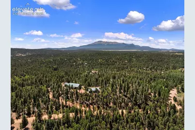 5542 North Road, Divide, CO 80814 - Photo 47
