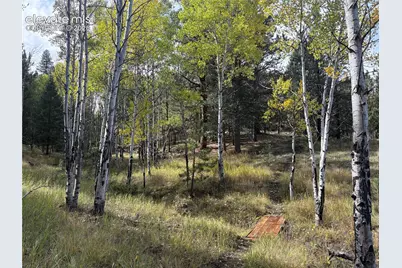 475 Sioux Road, Florissant, CO 80816 - Photo 5