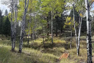475 Sioux Rd, Florissant, CO 80816 - Photo 5