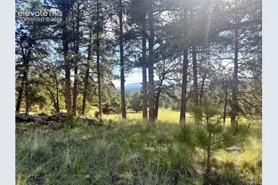 475 Sioux Road, Florissant, CO 80816 - Photo 43