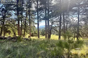 475 Sioux Rd, Florissant, CO 80816 - Photo 43