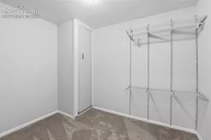 6316 Dancing Star Way, Colorado Springs, CO 80911 - Photo 39