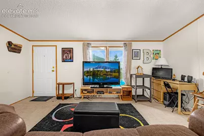213 S 1st Street, Victor, CO 80860 - Photo 11