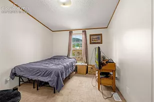 213 S 1st St, Victor, CO 80860 - Photo 19