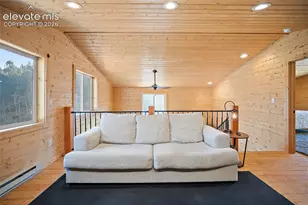 213 Willow Rd, Divide, CO 80814 - Photo 23