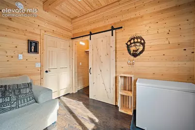 213 Willow Road, Divide, CO 80814 - Photo 29