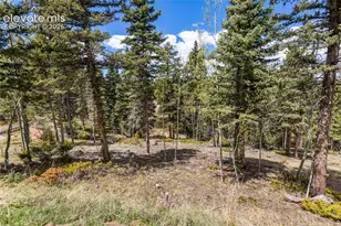 153 Moss Rock Ct, Divide, CO 80814 - Photo 39