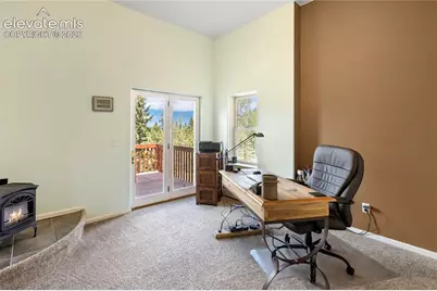 153 Moss Rock Court, Divide, CO 80814 - Photo 25