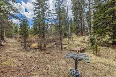 153 Moss Rock Court, Divide, CO 80814 - Photo 31
