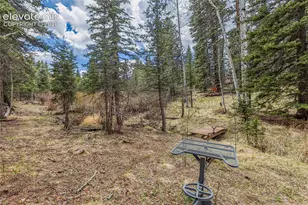 153 Moss Rock Ct, Divide, CO 80814 - Photo 31