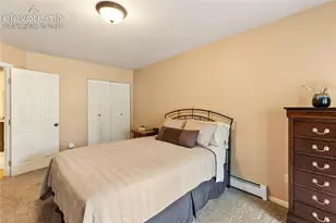 153 Moss Rock Ct, Divide, CO 80814 - Photo 21