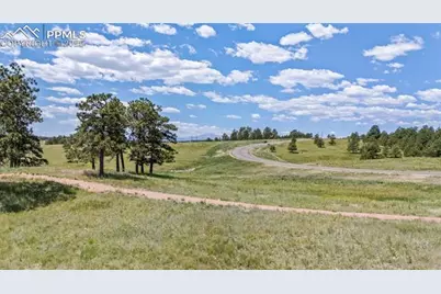 10334 Alamar Way, Colorado Springs, CO 80908 - Photo 7