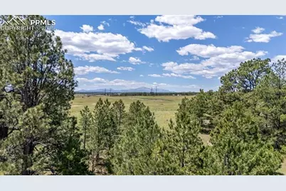 10334 Alamar Way, Colorado Springs, CO 80908 - Photo 3