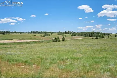 10334 Alamar Way, Colorado Springs, CO 80908 - Photo 13