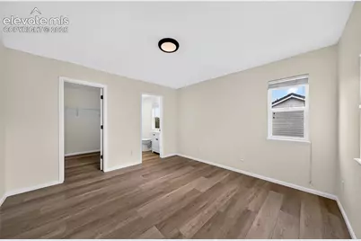745 Diamond Rim Drive, Colorado Springs, CO 80921 - Photo 13