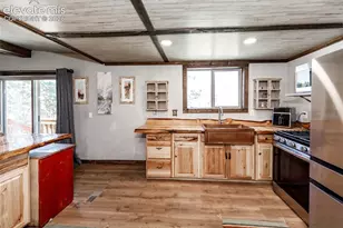 177 Morning Star Creek Trail, Florissant, CO 80816 - Photo 19