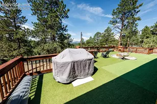 177 Morning Star Creek Trail, Florissant, CO 80816 - Photo 11
