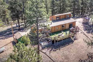 177 Morning Star Creek Trail, Florissant, CO 80816 - Photo 5