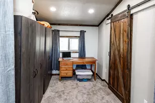 177 Morning Star Creek Trail, Florissant, CO 80816 - Photo 31