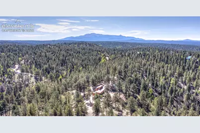 177 Morning Star Creek Trail, Florissant, CO 80816 - Photo 9