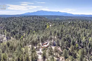177 Morning Star Creek Trail, Florissant, CO 80816 - Photo 9