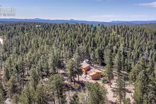 177 Morning Star Creek Trail, Florissant, CO 80816 - Photo 7