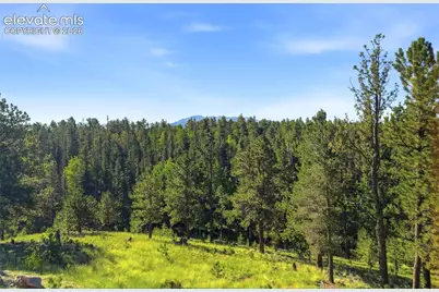 1509 County Road 25, Divide, CO 80814 - Photo 39
