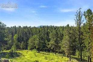 1509 Co Rd 25, Divide, CO 80814 - Photo 39