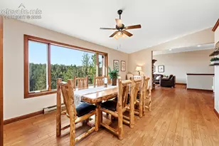 1509 Co Rd 25, Divide, CO 80814 - Photo 9