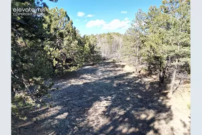 421 Crescent Drive, Florissant, CO 80816 - Photo 5