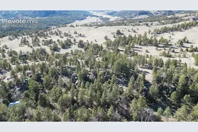 421 Crescent Drive, Florissant, CO 80816 - Photo 1