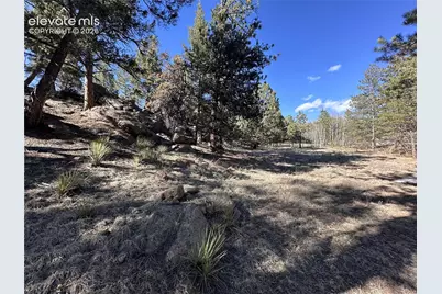 421 Crescent Drive, Florissant, CO 80816 - Photo 17