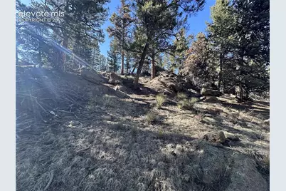 421 Crescent Drive, Florissant, CO 80816 - Photo 19