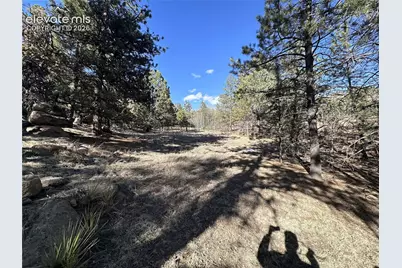 421 Crescent Drive, Florissant, CO 80816 - Photo 15