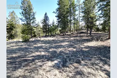 421 Crescent Drive, Florissant, CO 80816 - Photo 7