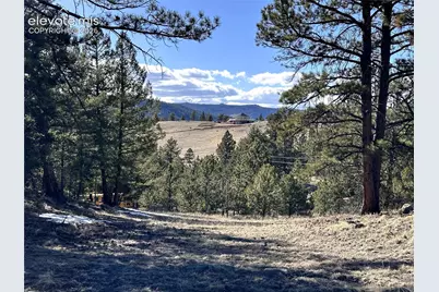 421 Crescent Drive, Florissant, CO 80816 - Photo 11