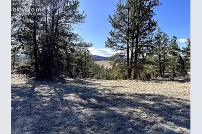421 Crescent Drive, Florissant, CO 80816 - Photo 3