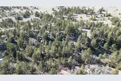 421 Crescent Drive, Florissant, CO 80816 - Photo 9