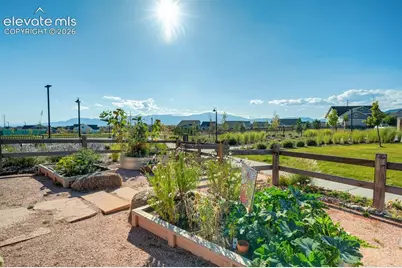 5989 Bennach Grove, Colorado Springs, CO 80927 - Photo 49