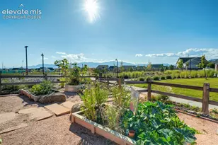5989 Bennach Grv, Colorado Springs, CO 80927 - Photo 49