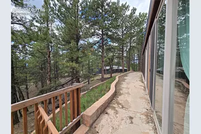 310 Spring Creek Drive, Divide, CO 80814 - Photo 41