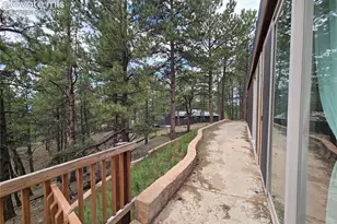 310 Spring Creek Dr, Divide, CO 80814 - Photo 41