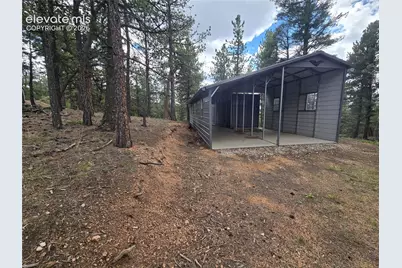 310 Spring Creek Drive, Divide, CO 80814 - Photo 45