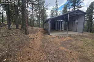 310 Spring Creek Dr, Divide, CO 80814 - Photo 45