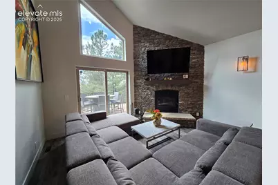 310 Spring Creek Drive, Divide, CO 80814 - Photo 5