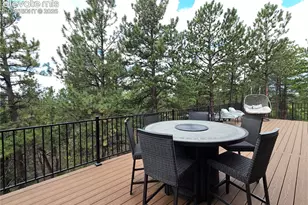 310 Spring Creek Dr, Divide, CO 80814 - Photo 23
