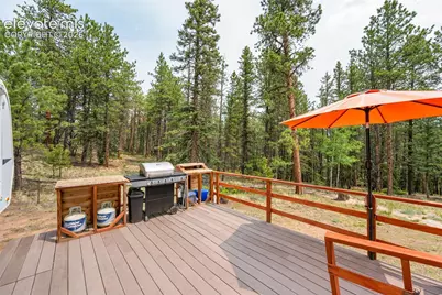 1459 Conestoga Creek Road, Florissant, CO 80816 - Photo 7