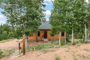 289 Cottonwood Lake Dr, Divide, CO 80814 - Photo 3