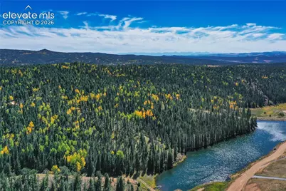289 Cottonwood Lake Drive, Divide, CO 80814 - Photo 49